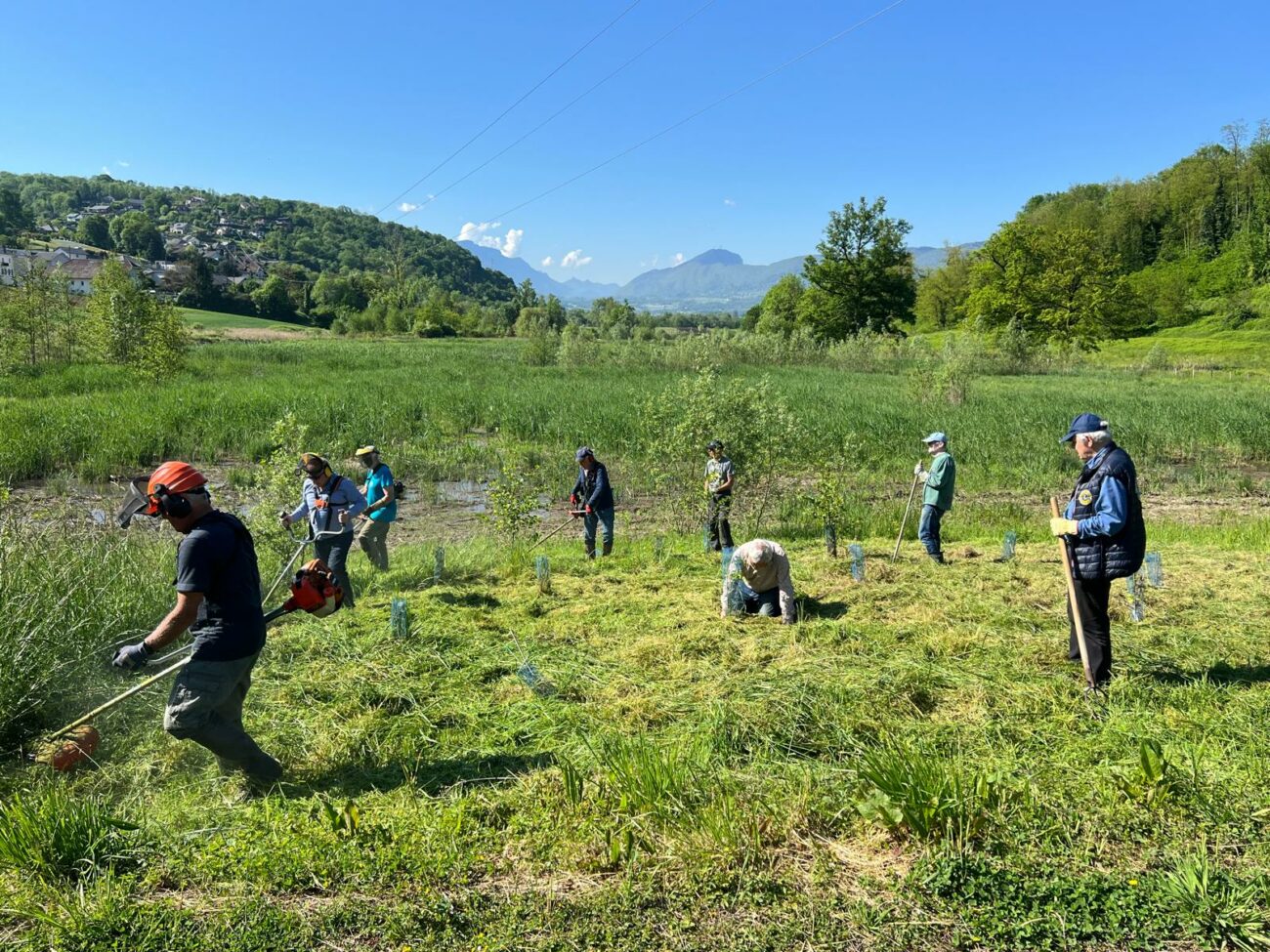 Entretien de la Forêt Rêves de Gosse