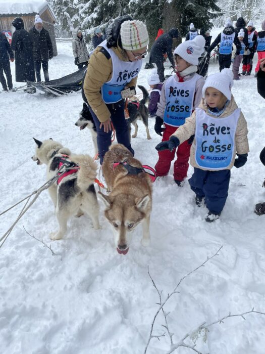 La Grande Odyssée / Chiens de traineaux