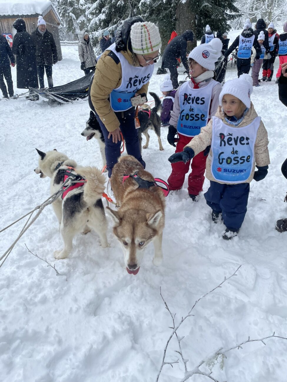 La Grande Odyssée / Chiens de traineaux
